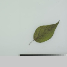 数据图片1